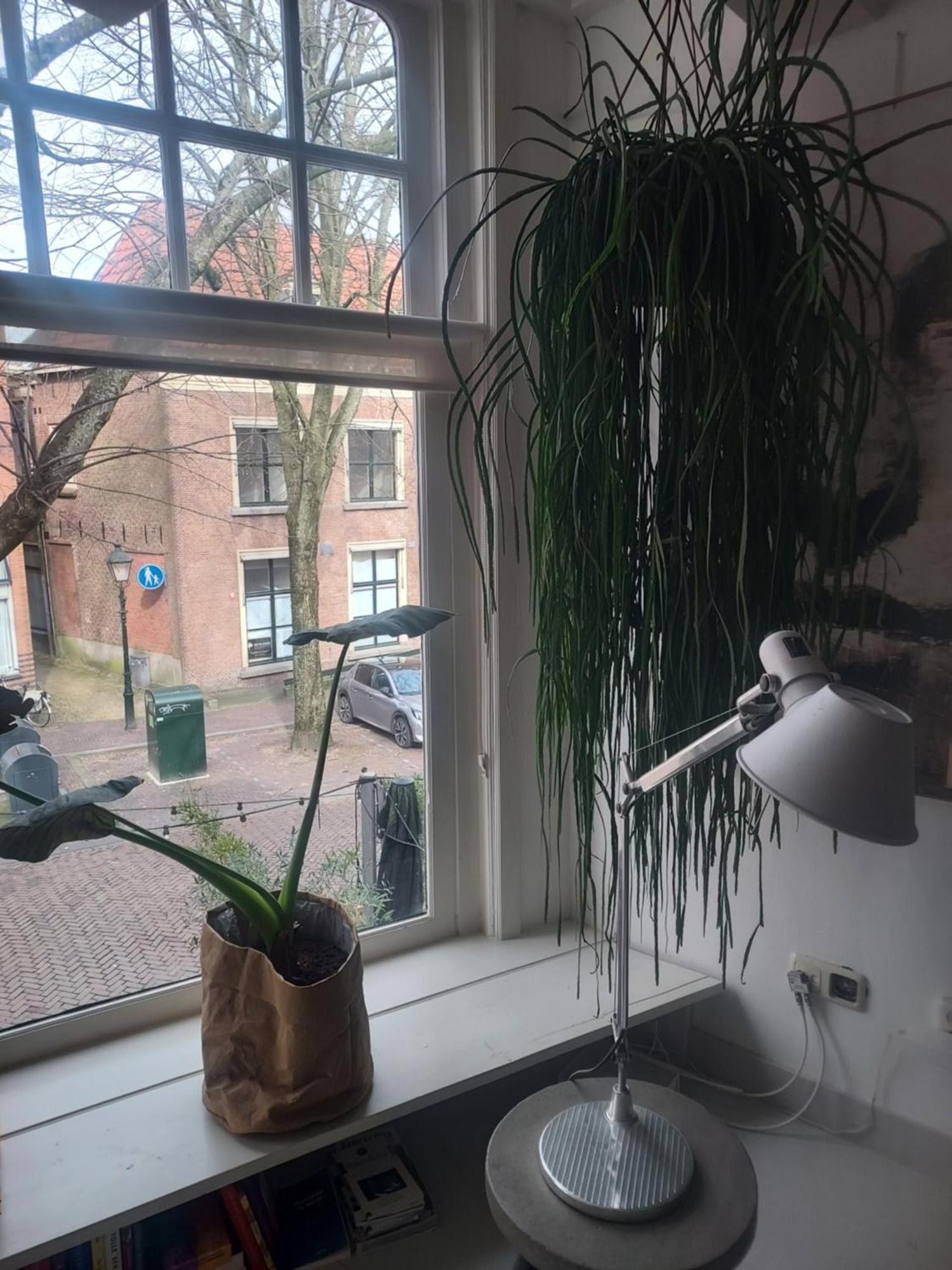 Volledige Bovenwoning Binnenstad Leeuwarden Eksteriør bilde